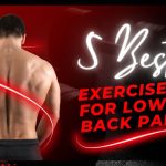 5 Best Exercises for Lower Back Pain